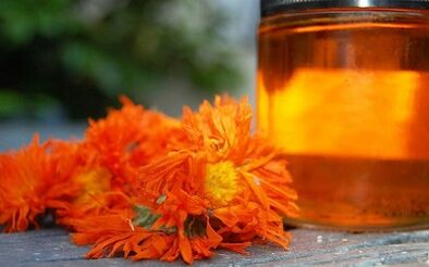 Decoction to treat varicose veins
