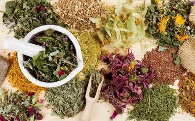 Folk remedies to treat varicose veins