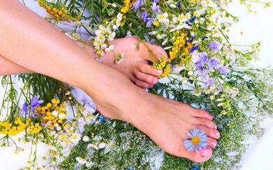 How to treat intravenous veins on the legs